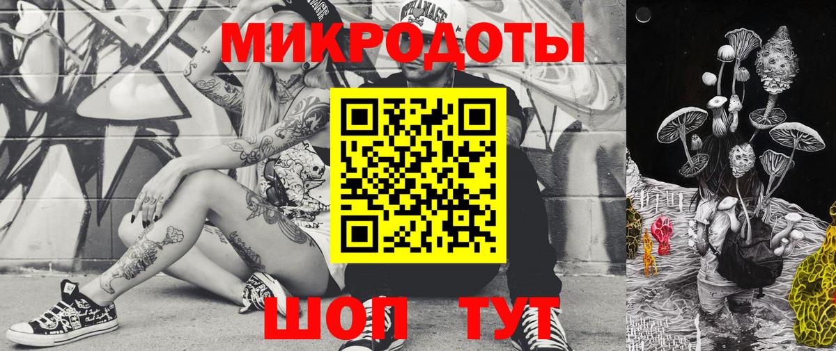 Псилоцибиновые грибы Psilocybe Северск